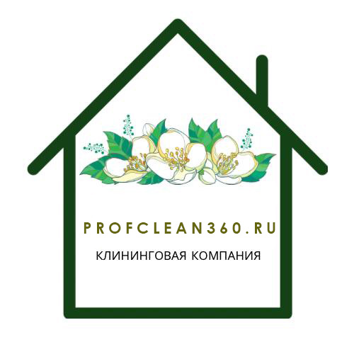 Профи-Клининг 360